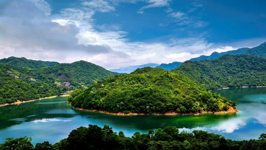 创新创新高标准